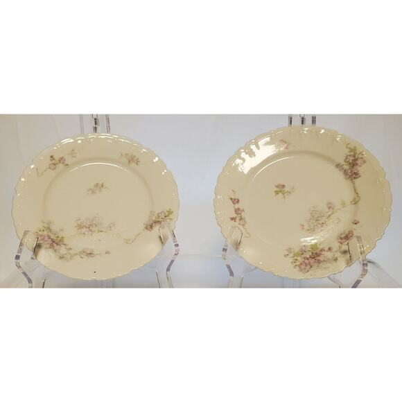 Antique Vintage Austrian Habsburg China Decorative Salad Plate Set of 2 Floral - Picture 1 of 4